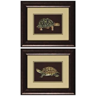 Set of Two Tortoise III & IV Framed Wall Art   #K2634
