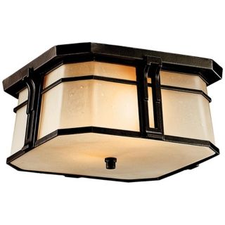 North Creek Energy Efficient 12" Wide Outdoor Ceiling Light   #M7892