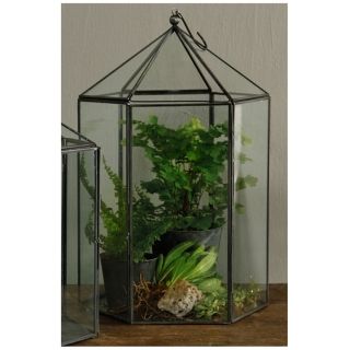 Pierre Large 14" High Hexagon Terrarium   #U7363