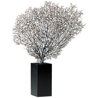 Natural Sea Fan with Base   #N3823