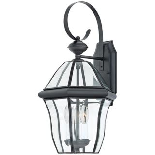Quoizel Sussex Black Finish 21" High Outdoor Wall Light   #R1915