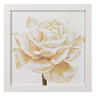 White Roses Closeups B Framed 24" Square Wall Art   #K4909