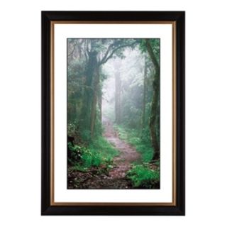Misty Forest Giclee 41 3/8" High Wall Art   #57281 80384