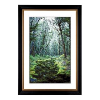 Forest Clearing Giclee 41 3/8" High Wall Art   #55980 80384