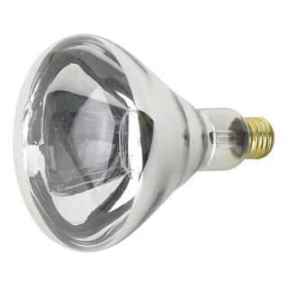 250 Watt R40 Heat Lamp Light Bulb   #05442
