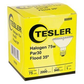 Tesler PAR30 75 Watt Flood Light Bulb   #00899
