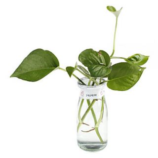 EUR € 6.98   plástico 8 planta verde ornamento decoración para