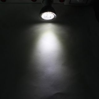6W 5500 6500K Spot Lampe mit natürlichem Weißem LED Licht (110 240V