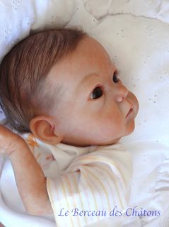 Reborn Baby Girl Justine Kit Saoirse N°319 1000 Bonnie Brown Sold Out