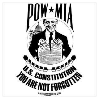 POW MIA U.S. Constitution for $9.00