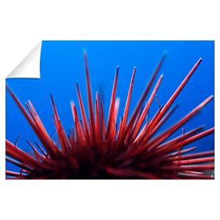 Wall Art  Wall Decals  Red Sea Urchin Wall Decal