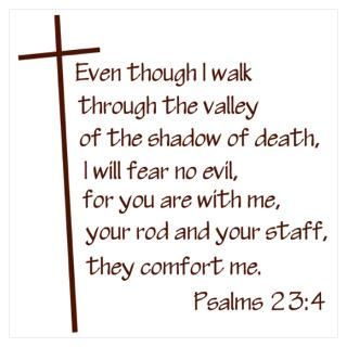 Psalm 23 Posters & Prints