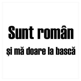 Wall Art  Posters  Sunt roman si ma doare la basca