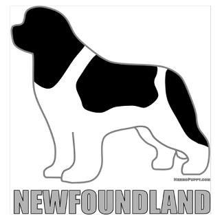 Landseer Newfoundland Posters & Prints