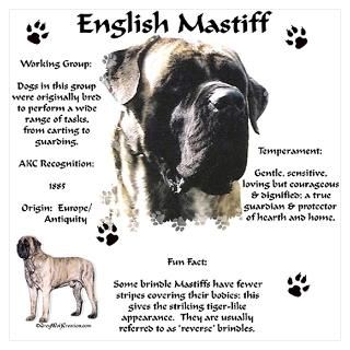 Mastiff 72 Poster