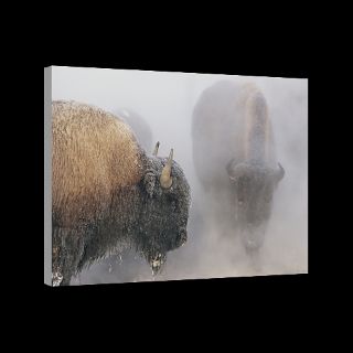 Yellowstone National Park, Wyoming  National Geographic Art Store
