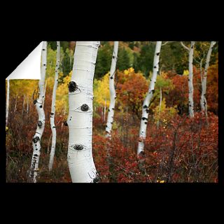 National Geographic Art Store  2012_01_06 002  Aspen, Colorado