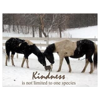 Wall Art  Posters  Kindness Poster