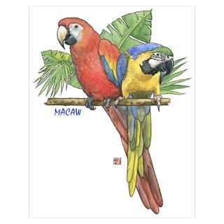 Wall Art  Posters  Tropical Macaws Poster