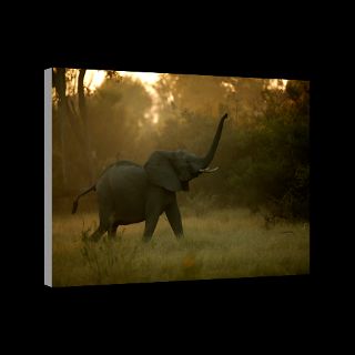 National Geographic Art Store  2012_01_10 027  Okavango Delta