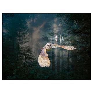 Wall Art  Posters  Owl at Midnight Poster