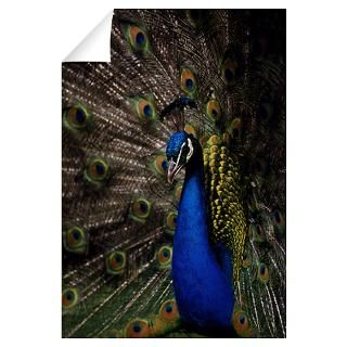 Wall Art  Wall Decals  Peacock Wall Decal