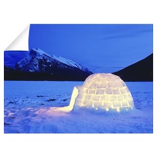 Wall Art  Wall Decals  Igloo Lit Up at Night