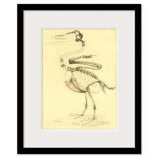 Bird Skeleton Framed Prints  Bird Skeleton Framed Posters