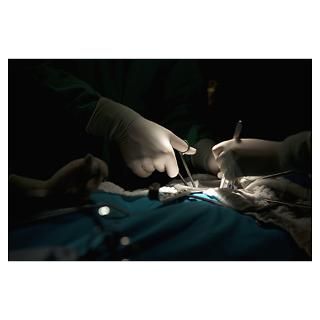 Wall Art  Posters  A surgery team operating on a