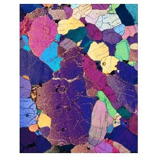 Polarised LM of a thin section of monzonite