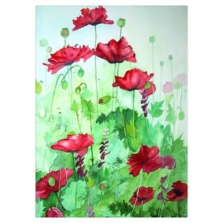 Poppies Posters & Prints