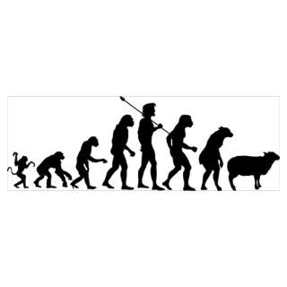 Evolution Of Drunk Wall Decal