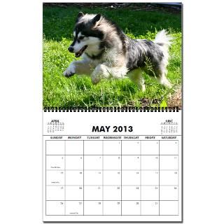 2011 Shuksan & Shasta Alaskan Malamute Calenda by Aroo2