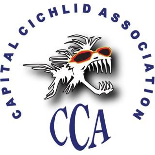 CCA_2007_logo_bold_w_initials,_shadow.png Iron On
