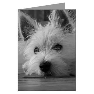  Westie Puppy Greeting Cards  Westie Greeting Cards (Pk of 10