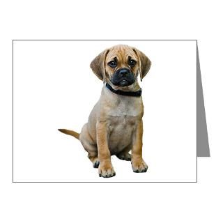 Pets Gifts  Cafe Pets Note Cards  Puggle Note Cards (Pk of 10