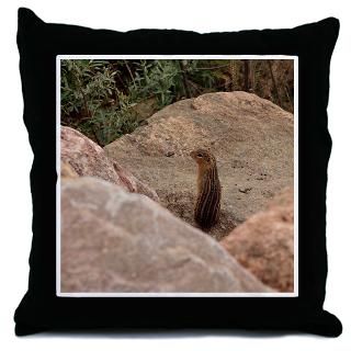 Animal Gifts  Animal More Fun Stuff  13 lined Ground Squirrel