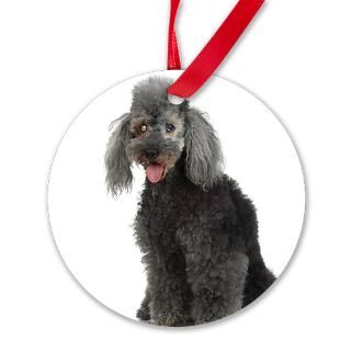 Blind Very Old Poodle (15 Years)   Ornament for $12.50