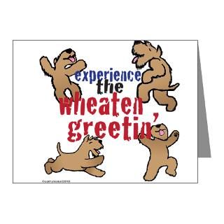 Gifts  Agility Note Cards  Wheaten Greetin Note Cards (Pk of 20