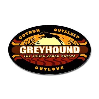 Greyhound Racing Stickers  Car Bumper Stickers, Decals