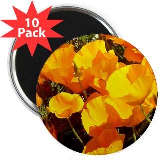 california poppies gifts 2 25 magnet 10 pack $ 22 87