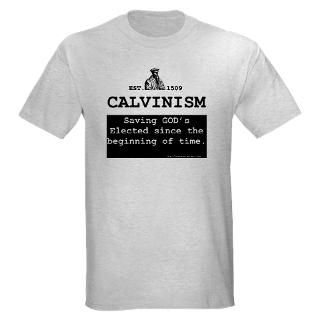 Calvin T shirts  Calvin 101 Light T Shirt