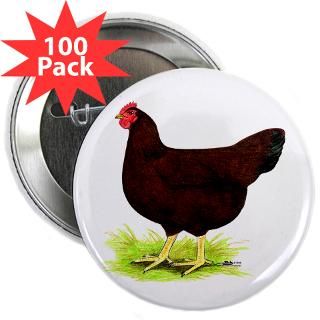 rhode island red hen 2 25 button 100 pack $ 114 99