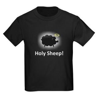 Holy Black Sheep  Shiny Black Sheep