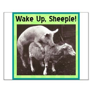 Wake Up Sheeple  Conserve The USA
