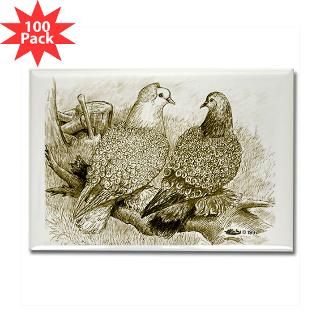 frillback pigeons rectangle magnet 100 pack $ 154 99