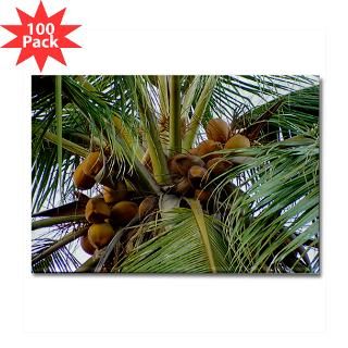 coconut palm tree rectangle magnet 100 pack $ 178 19