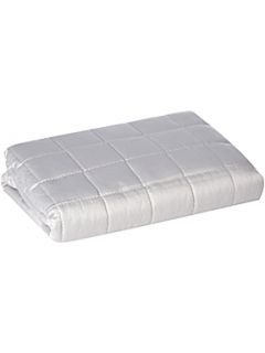 Boutique Kensington 65cm x 65cm silver cushion   