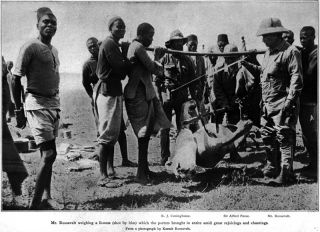 Teddy Roosevelt Kapiti Plains Lion Hunt Safari Ugami 1909 African Game