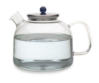 New Adagio Teas Glass Water Kettle